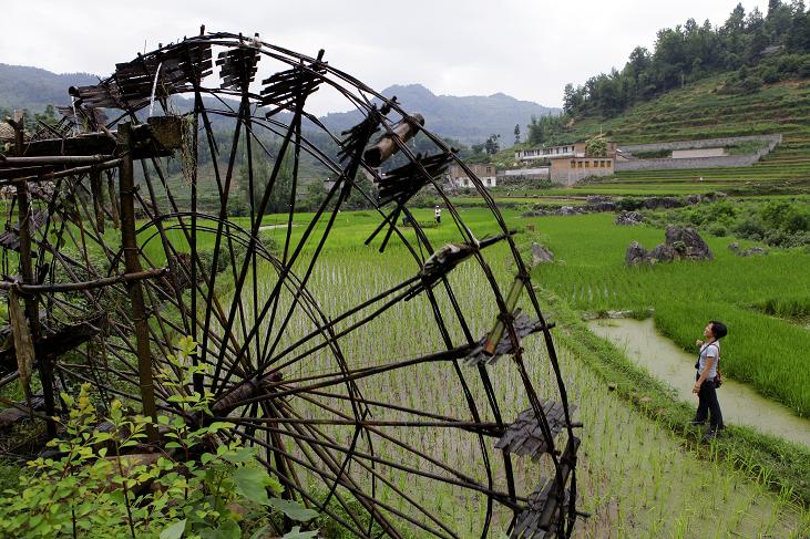 ϵĹ¡߳绰15985363388ࣩ.JPG